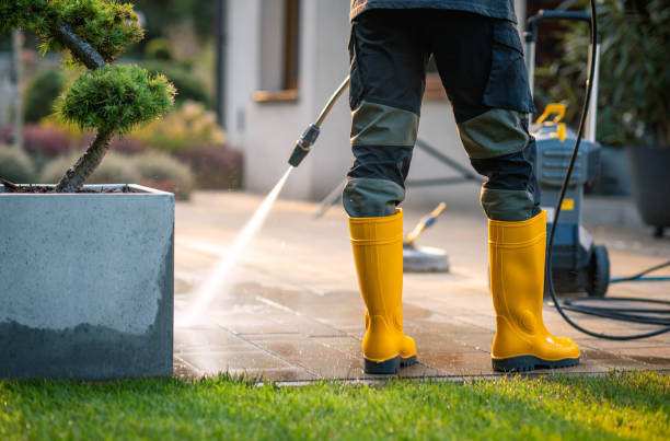  Bear Valley Springs, CA Pressure Washing Pros